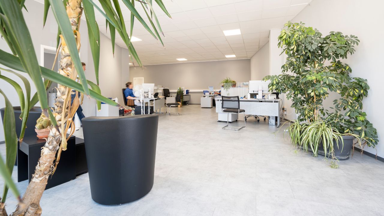 Pflege Sanitas Büro