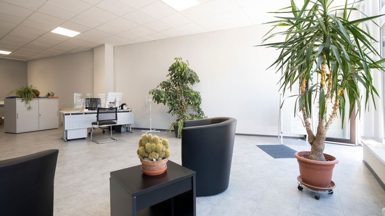 Pflege Sanitas Büro